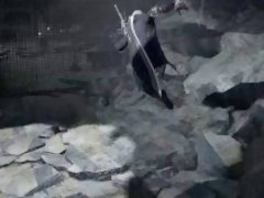 audap's Devil May Cry 5 PC 4K HDR P8
