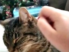 Petting my pussy