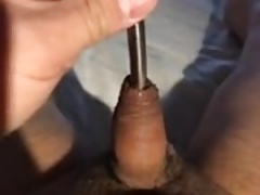 tiny dick