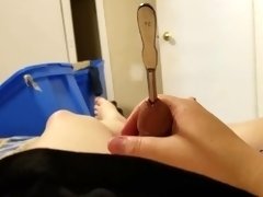 Trans Woman Sounding  Sound is 8 Inches Long 24FR 7.2mm